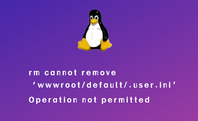 rm cannot remove ‘wwwroot/default/.user.ini’ Operation not permitted