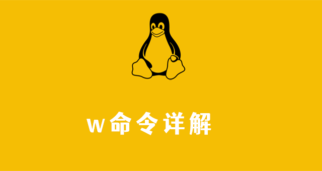 Linux系统管理:w详解