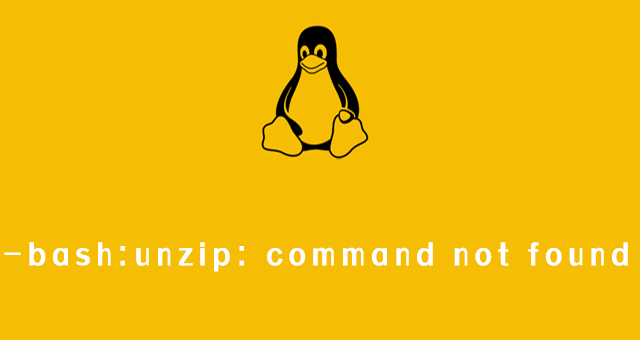 -bash:unzip: command not found