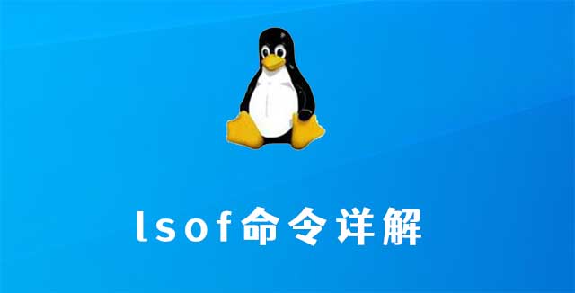 linux lsof命令详解