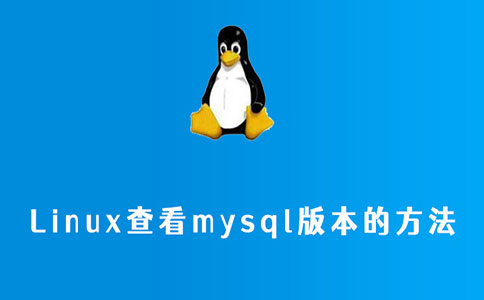linux查看mysql版本的方法