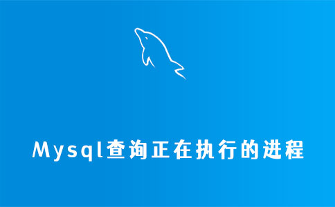 mysql查询正在执行的进程