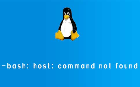 -bash: host: command not found