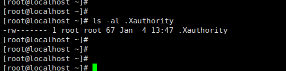 /usr/bin/xauth:  file /root/.Xauthority does not exist